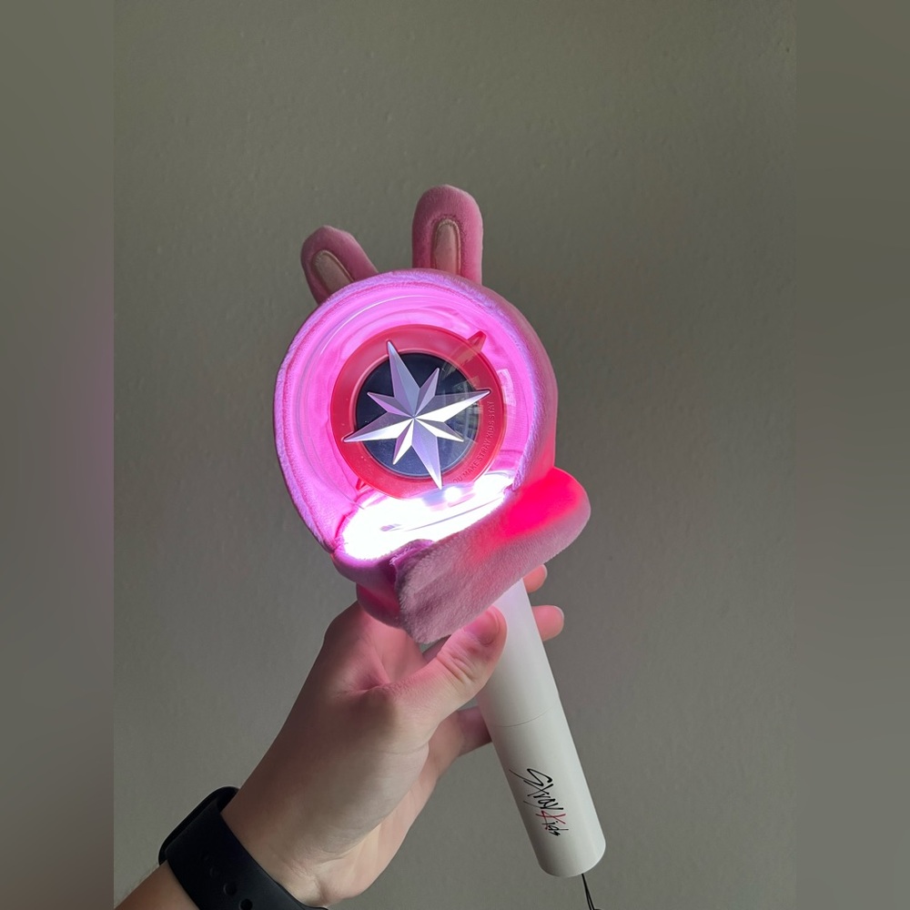 JYP STRAY KIDS SKZOO Changbin Dwaekki Lightstick concert Cover